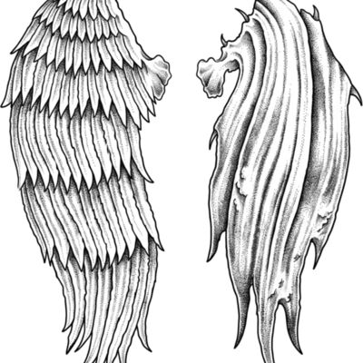 MAXWINGS Miniatura